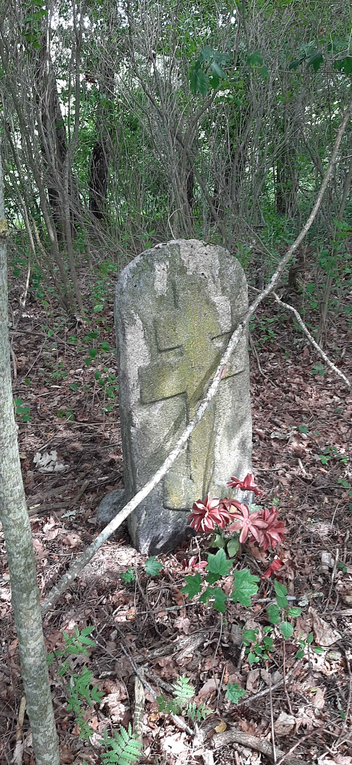 Архивная выписка из исследования родословной